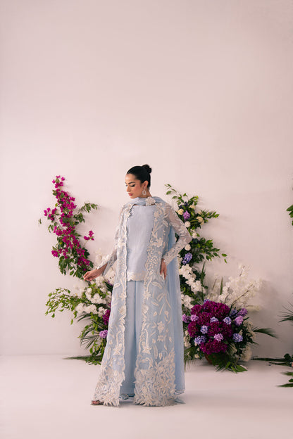 Icy Allure